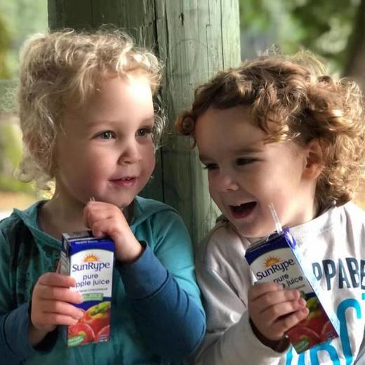 加拿大国牌果汁 [礼盒装]SunRype NFC苹果汁 商品图2
