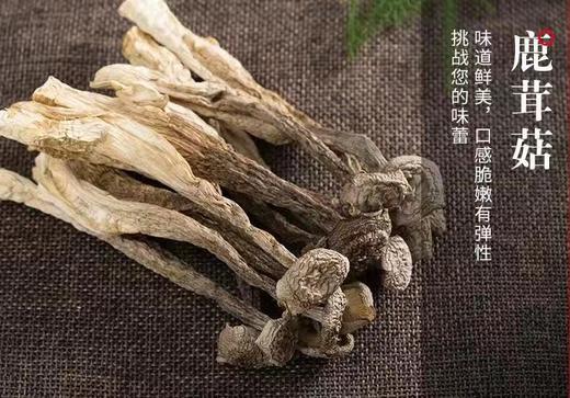 于都县七彩菌汤包礼盒480g 商品图3