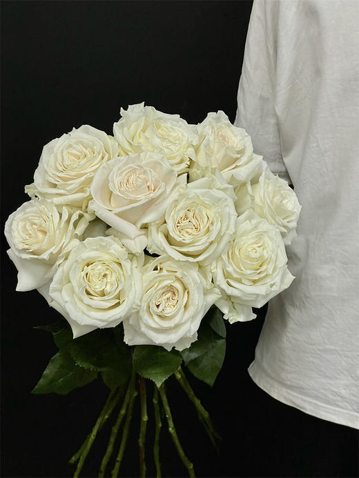 厄瓜多尔玫瑰playa blanca白色沙滩10支 商品图0