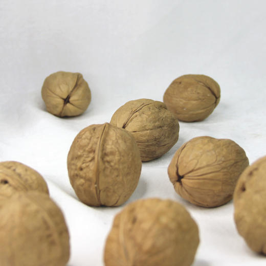 【塞尚香】纸皮核桃220g*2罐皮薄肉厚 商品图1