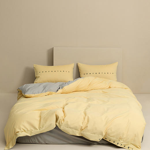 轻奢100支Pimar匹马棉磨毛套件 全棉床单款、床笠款套件 商品图0