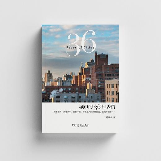 城市的36种表情 商品图2