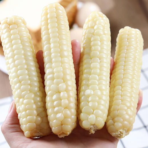 西双版纳—拇指小玉米香糯微甜   饱满弹牙   恰到好处   非转基因可以放心吃 真空包装    携带方便 商品图2
