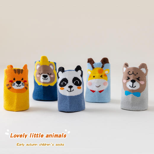 【特价19.9/5双】A类儿童袜子秋款男女童纯棉秋季男女孩秋冬中筒袜大童学生运动袜 商品图12