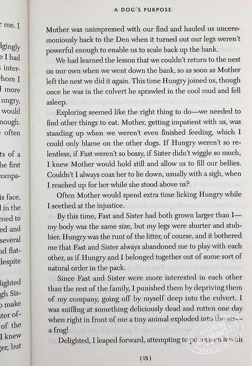 预售 一条狗的使命 新版 英文原版 电影小说 畅销书籍 同名电影感人上映 A Dog's Purpose W 布鲁斯 卡梅伦 美国年度好读小说奖 商品图5