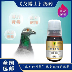 【迷你肝金肾水】60ml 赛鸽强肝健胃排肝肾血毒素信鸽用品（戈博士鸽药）