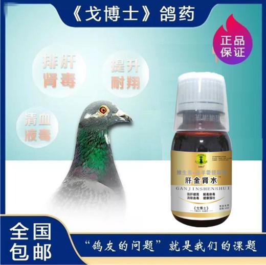 【迷你肝金肾水】60ml 赛鸽强肝健胃排肝肾血毒素信鸽用品（戈博士鸽药） 商品图0