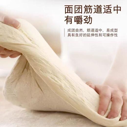 新疆仓麦园面粉25kg（50斤） 包子饺子拉条子 面包通用中高筋粉 商品图2