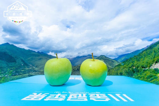 小金冠苹果~海拔3000米连皮都好吃的藏地苹果 商品图3