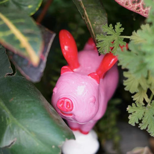 飞向幸福2-小号 商品图4