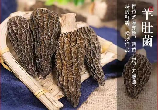 于都县七彩菌汤包礼盒480g 商品图1
