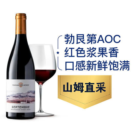 MM 山姆 爱德华 德洛内（Edouard Delaunay）法国进口 勃艮第黑皮诺红葡萄酒 750ml 商品图0