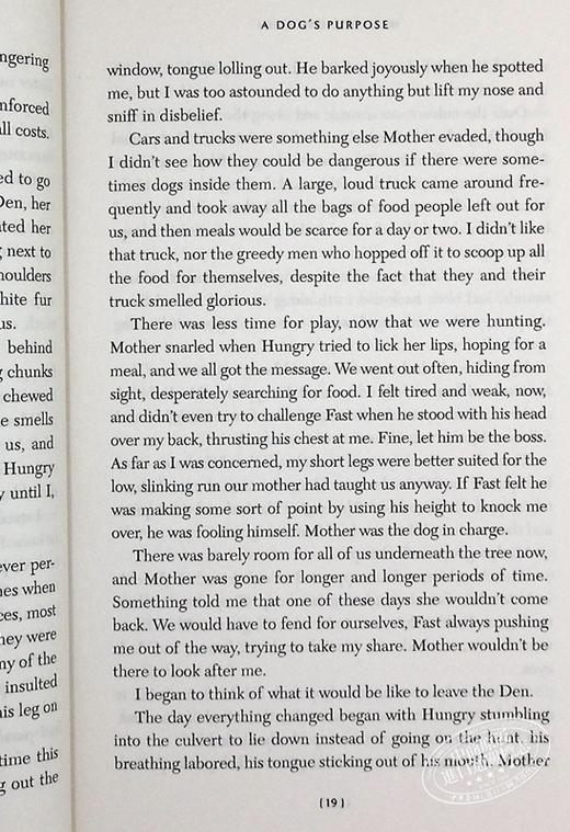 预售 一条狗的使命 新版 英文原版 电影小说 畅销书籍 同名电影感人上映 A Dog's Purpose W 布鲁斯 卡梅伦 美国年度好读小说奖 商品图7