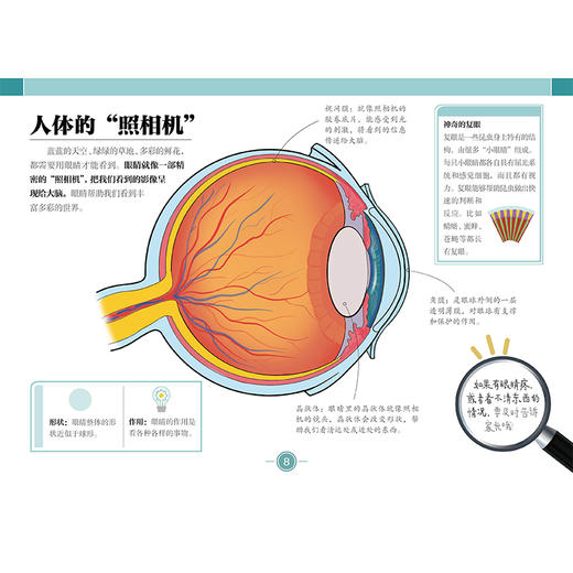 带孩子认身体爱自己 商品图4