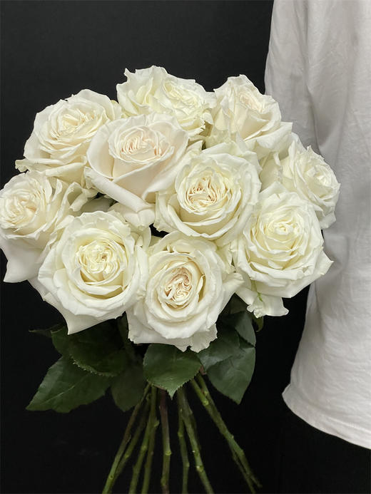 厄瓜多尔玫瑰playa blanca白色沙滩10支 商品图3