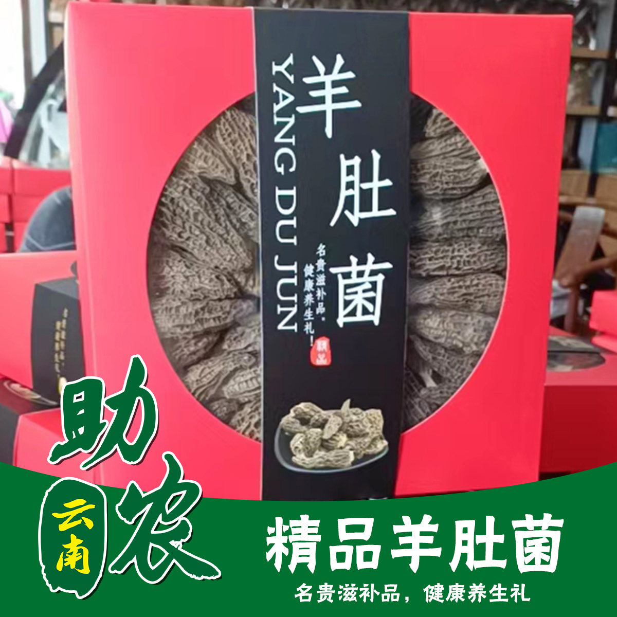 云南精品羊肚菌250g干菌礼盒