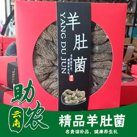 云南精品羊肚菌250g干菌礼盒
