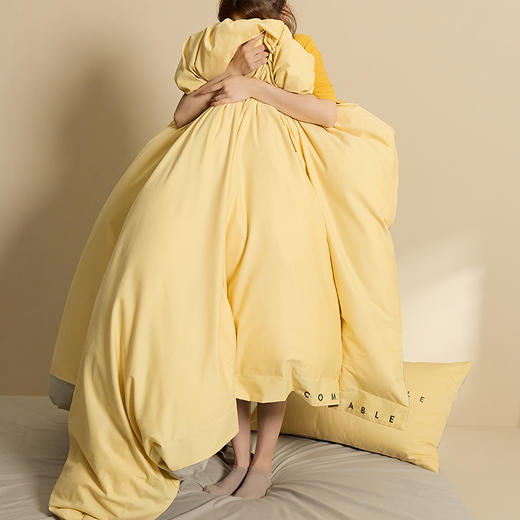 轻奢100支Pimar匹马棉磨毛套件 全棉床单款、床笠款套件 商品图2