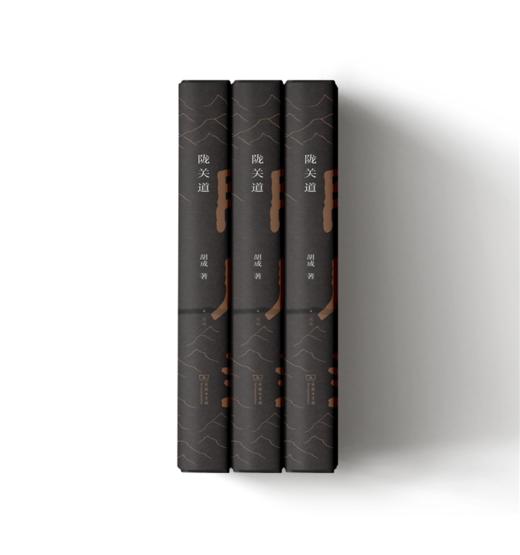 陇关道（2021第十六届文津图书奖推荐图书） 胡成 著 商品图3