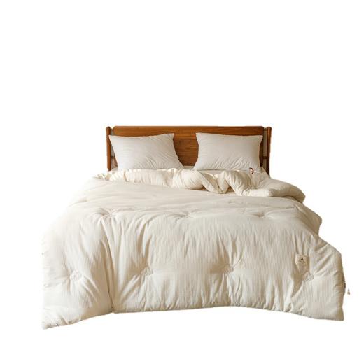 「母婴级A类！大豆纤维全棉」冬被加厚被芯春秋被太空被四季空调被原棉被床上用品 商品图4