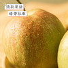 【地标好物】山西隰县  玉露香梨  多规格任选 商品缩略图3