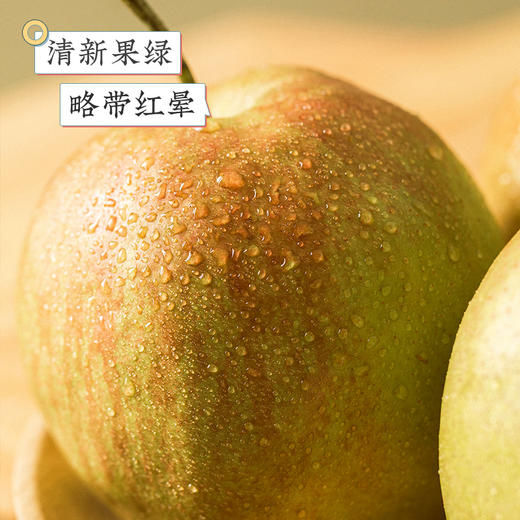 【地标好物】山西隰县  玉露香梨  多规格任选 商品图3