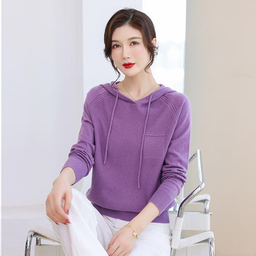 针织羊毛连帽卫衣洋气减龄百搭时尚简约上衣CC-101-1801 商品图3