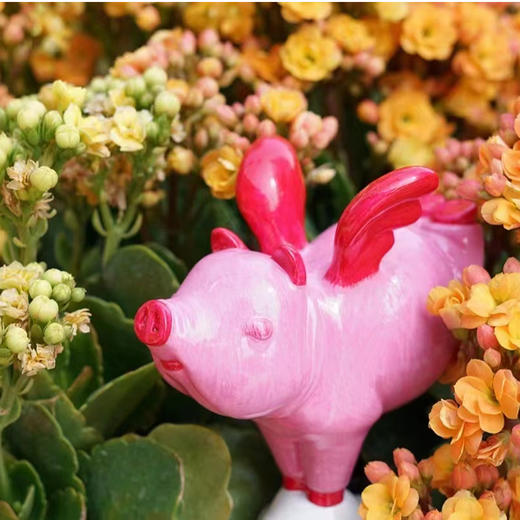 飞向幸福2-小号 商品图3