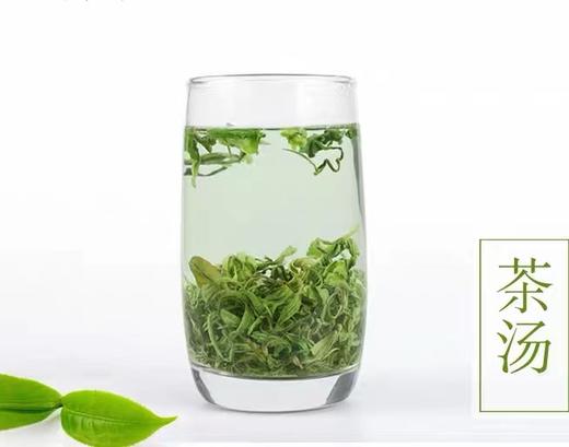 高山绿茶 商品图2