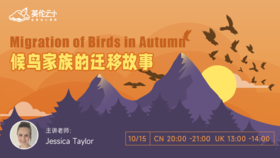 10月15日  候鸟家族的迁移故事