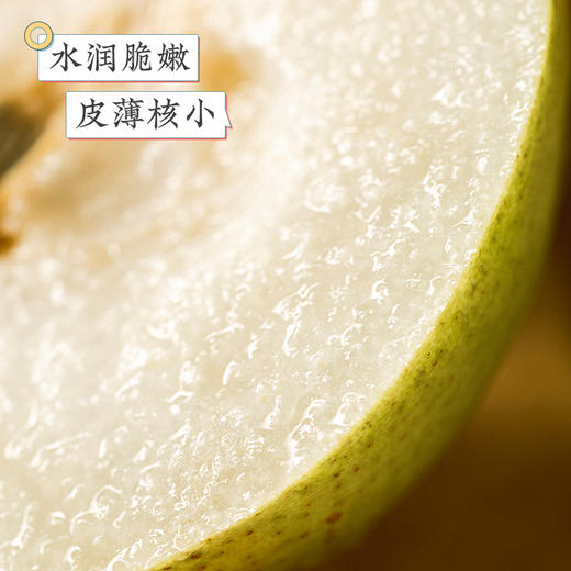 【地标好物】山西隰县  玉露香梨  多规格任选 商品图2