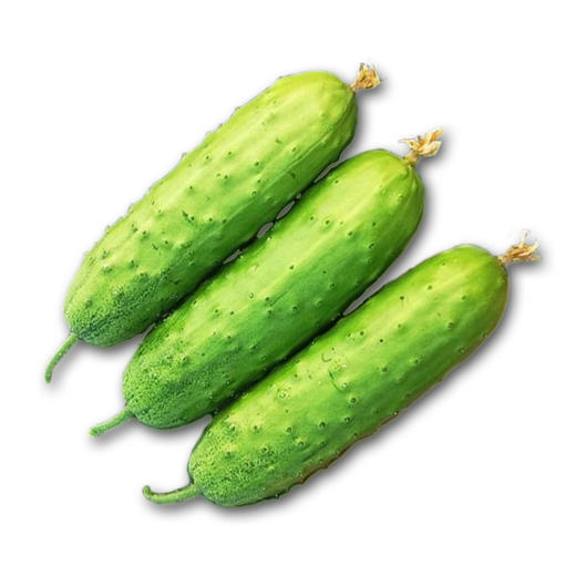 心家 旱黄瓜500g 商品图0
