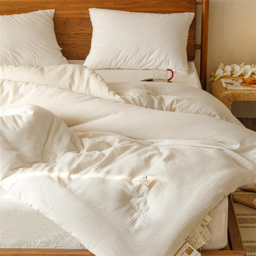 「母婴级A类！大豆纤维全棉」冬被加厚被芯春秋被太空被四季空调被原棉被床上用品 商品图1