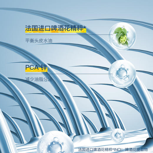 Secrethem他秘 蓬松洗发水 445g 商品图4