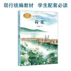 课文作家作品系列 荷花 三年级下册