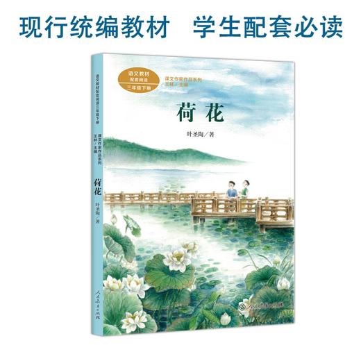 课文作家作品系列 荷花 三年级下册 商品图0