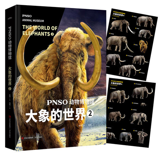 PNSO动物博物馆：大象的世界 商品图4