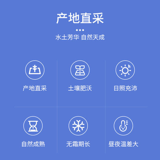 坤予血糯米 商品图3