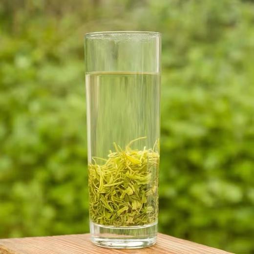 高山绿茶 商品图4