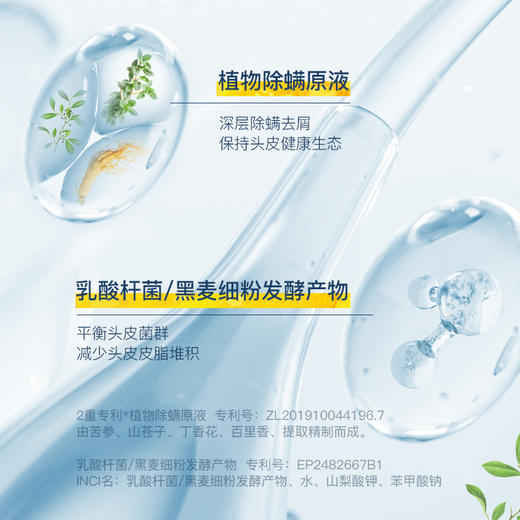 Secrethem他秘 蓬松洗发水 445g 商品图2