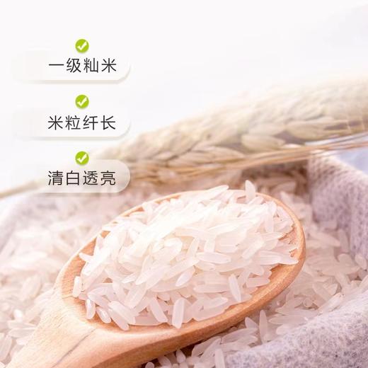 正庄上林金油粘5kg/袋  10斤装 商品图3