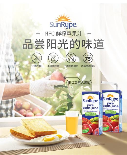 加拿大国牌果汁 [礼盒装]SunRype NFC苹果汁 商品图0