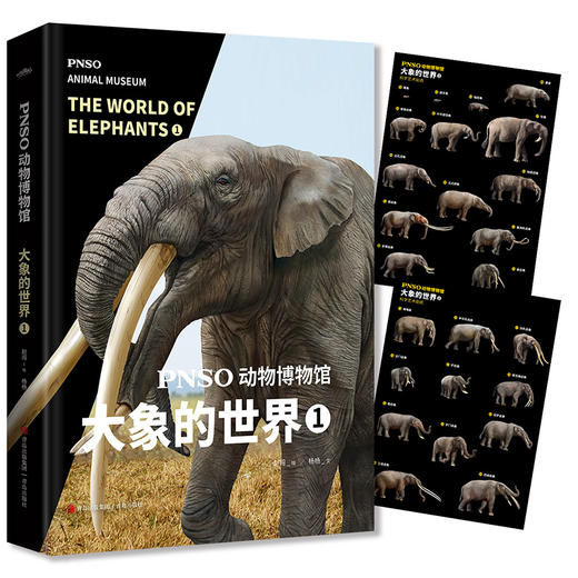 PNSO动物博物馆：大象的世界 商品图2