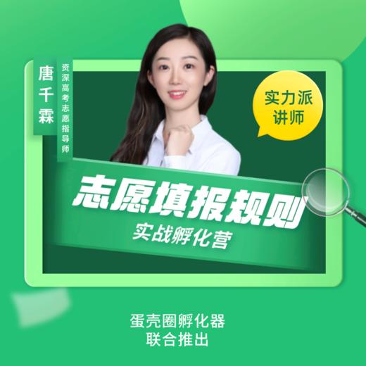 高报项目组-年度服务 商品图0