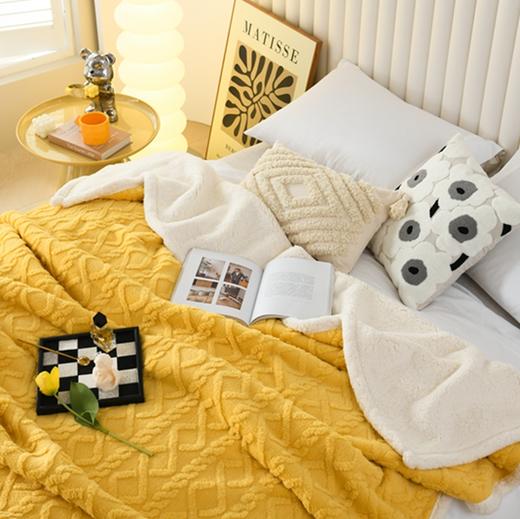 【秒杀】塔芙绒毛毯（适合车内） 商品图4