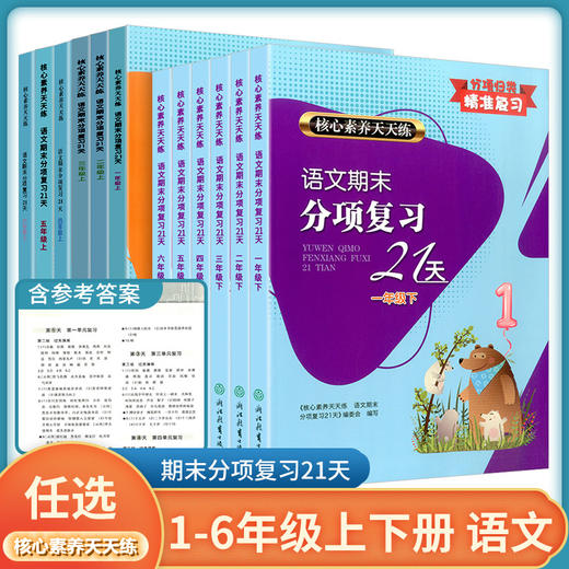 2023核心素养天天练 语文期末分项复习21天 123456年级上下册单本可选 商品图1
