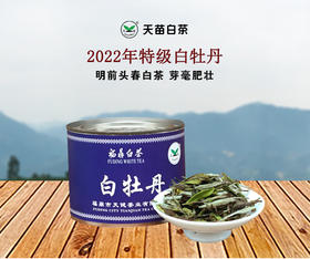 【明前头春 芽毫肥壮】天苗白茶 2022年 特级白牡丹 福鼎白茶 50g/罐（天猫同款）
