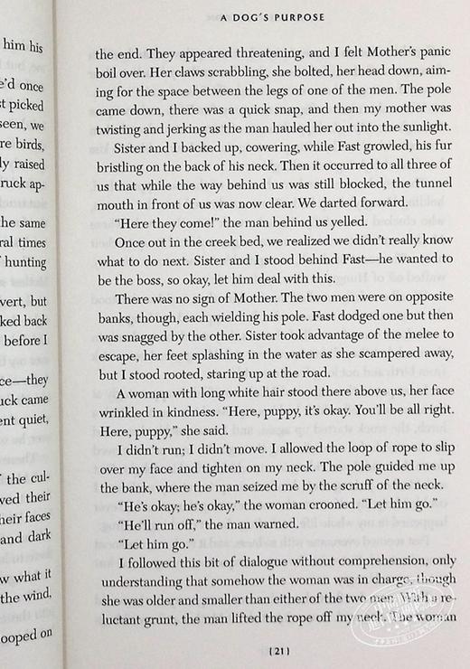 预售 一条狗的使命 新版 英文原版 电影小说 畅销书籍 同名电影感人上映 A Dog's Purpose W 布鲁斯 卡梅伦 美国年度好读小说奖 商品图8