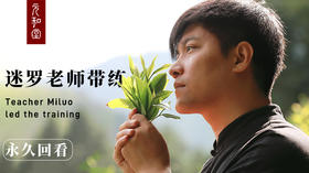 【秋分节气】迷罗老师元瑜伽秋分带练三