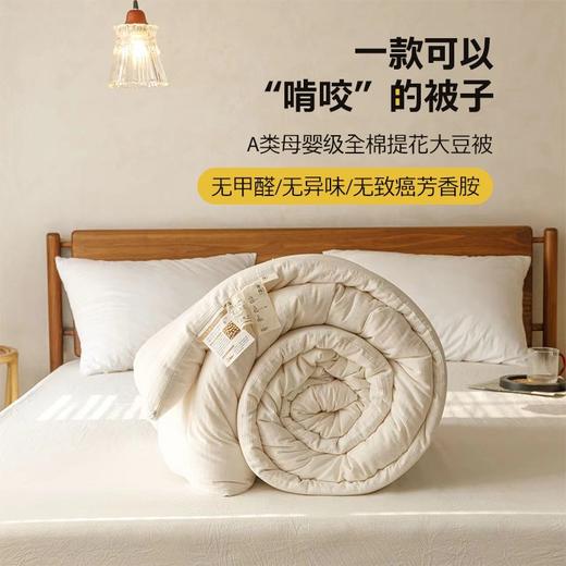 「母婴级A类！大豆纤维全棉」冬被加厚被芯春秋被太空被四季空调被原棉被床上用品 商品图0